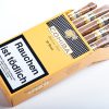 Cohiba Short 10